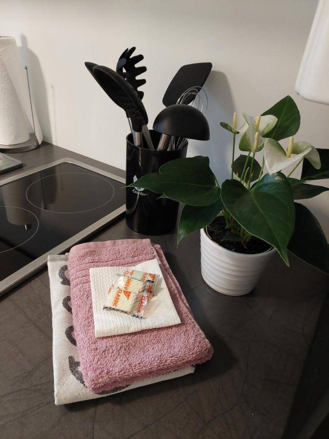 Helles Modern Eingerichtetes Apartment Halle  Extérieur photo